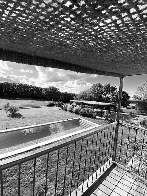 Maison Droles D'Oiseaux Plieux