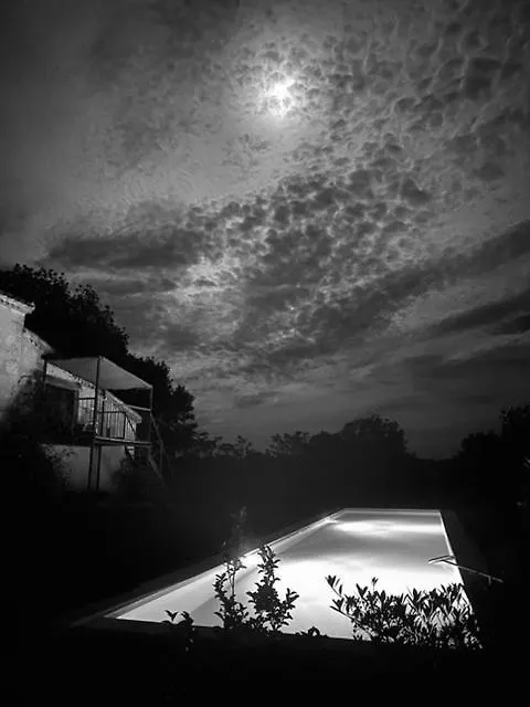 Maison Droles D'Oiseaux Plieux France